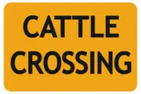 Cattle Crossing   RD110