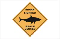 shark sighted beach closed