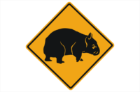Wombat ahead sign