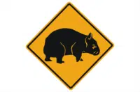 Wombat ahead sign