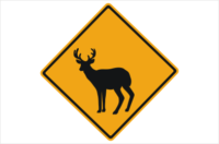 Deer Warning sign