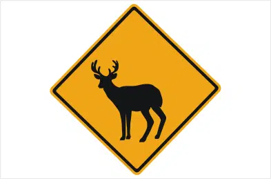 Deer Warning sign