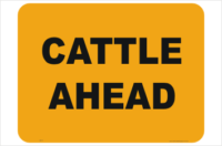 Cattle Ahead