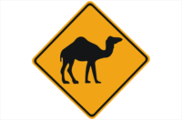 Camel Road sign