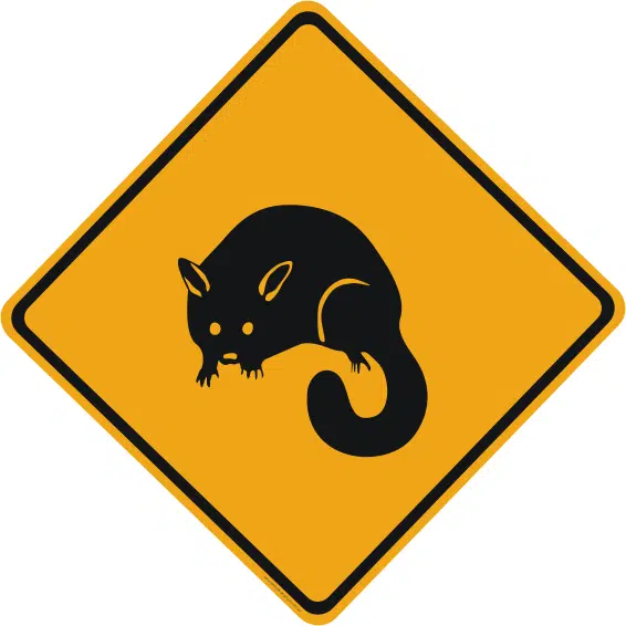 Possum sign