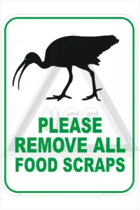 Feed birds Sign