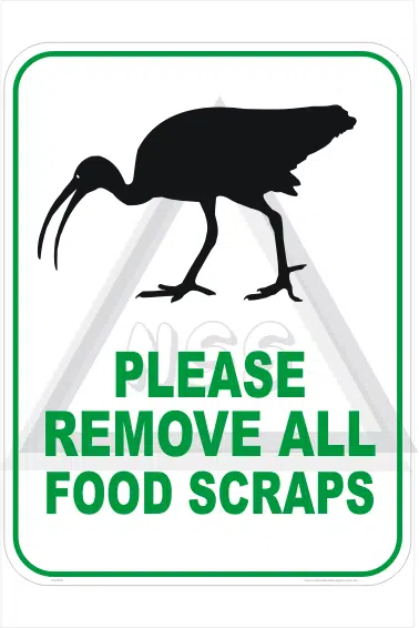 Feed birds Sign