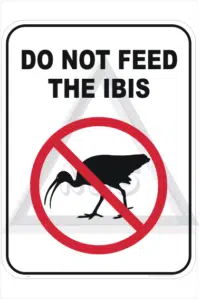 Feed Ibis sign