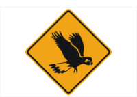 Cockatoo Sign