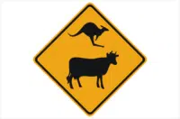 Kangaroo Cow Road sign