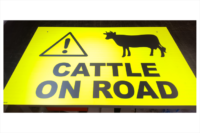 Cattle Road sign