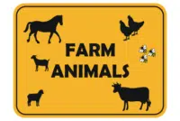 Farm Animal and Livestock Signs
