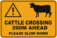 Cattle Crossing Ahead 200m