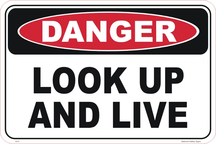 Look up and live   D10348