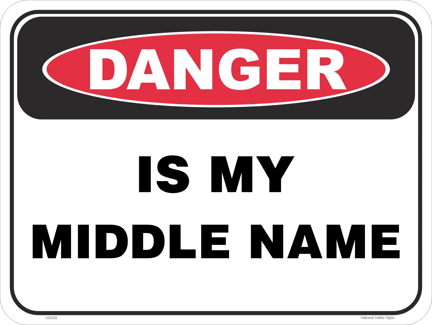 Novelty danger is my middle name sign NS559