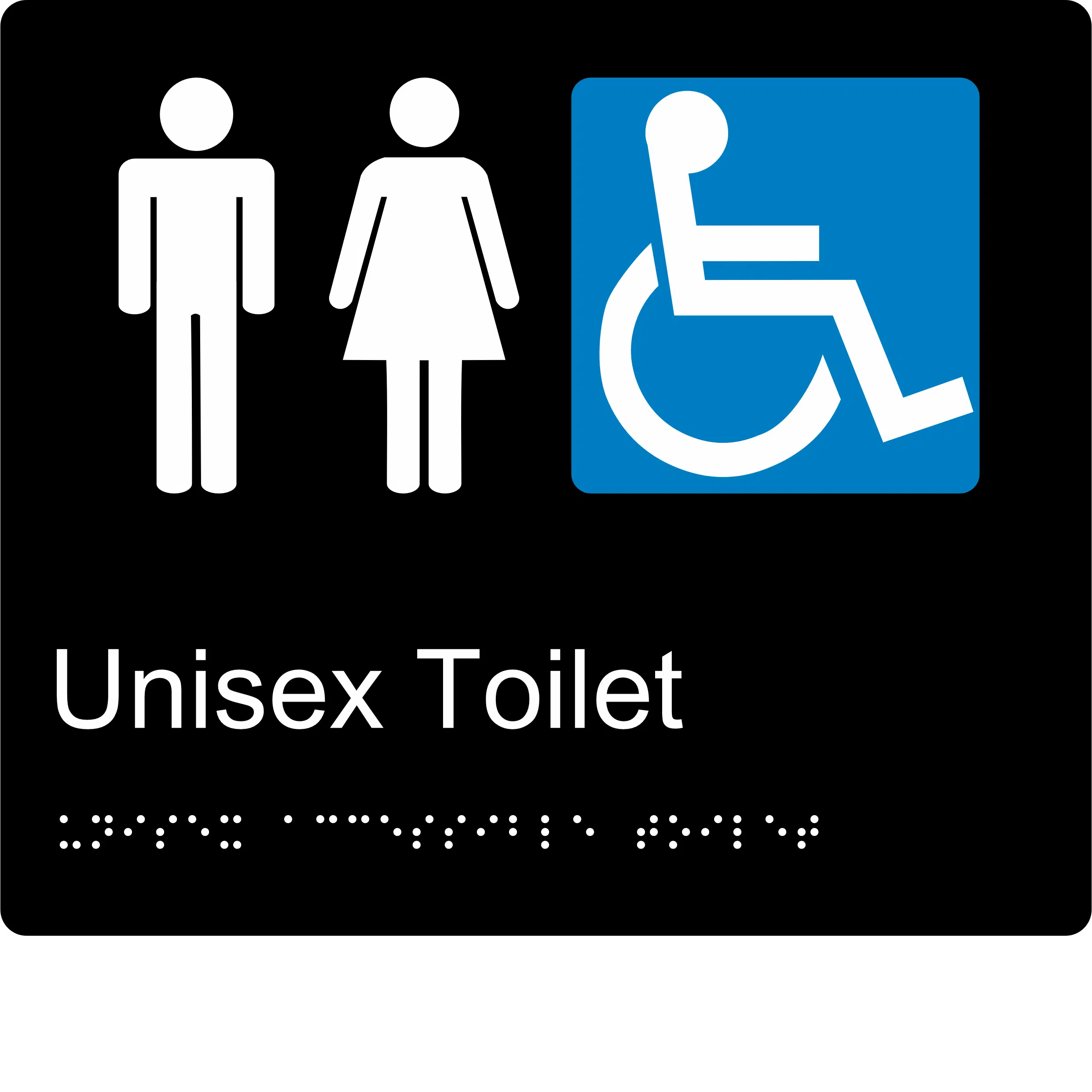 Unisex Accessible Toilet BT10 Braille Sign - Image 2