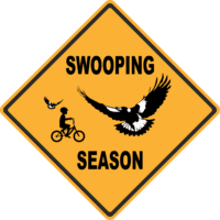 Magpie Warning sign RD615