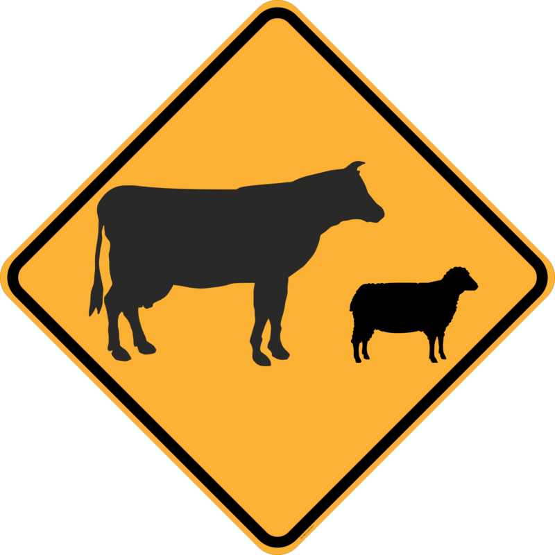 W5-38 Stock (symbolic)