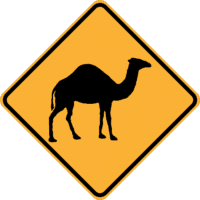 W5-44 Camel (symbolic)