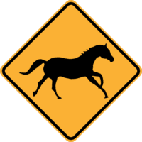 W5-46 Wild Horse (symbolic)