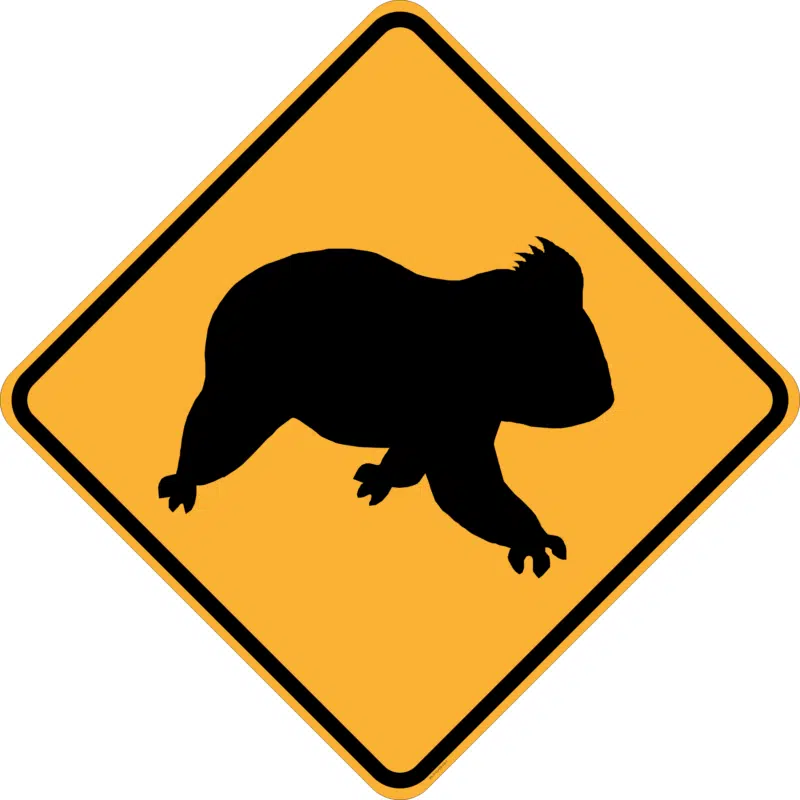 W5-47 Koala (symbolic)