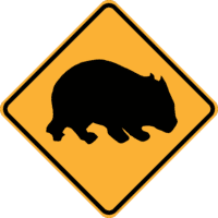 W5-48 Wombat (symbolic)