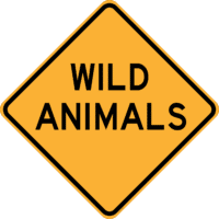 W5-49 Wild Animals