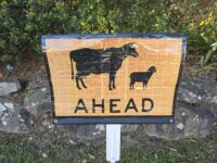 Cattle Ahead Reflective Roll Up Banner A4056