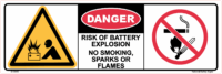 Risk of Battery Explosion Danger Sticker D10410
