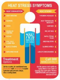 Heat Stress Symptoms Sign     IN16347